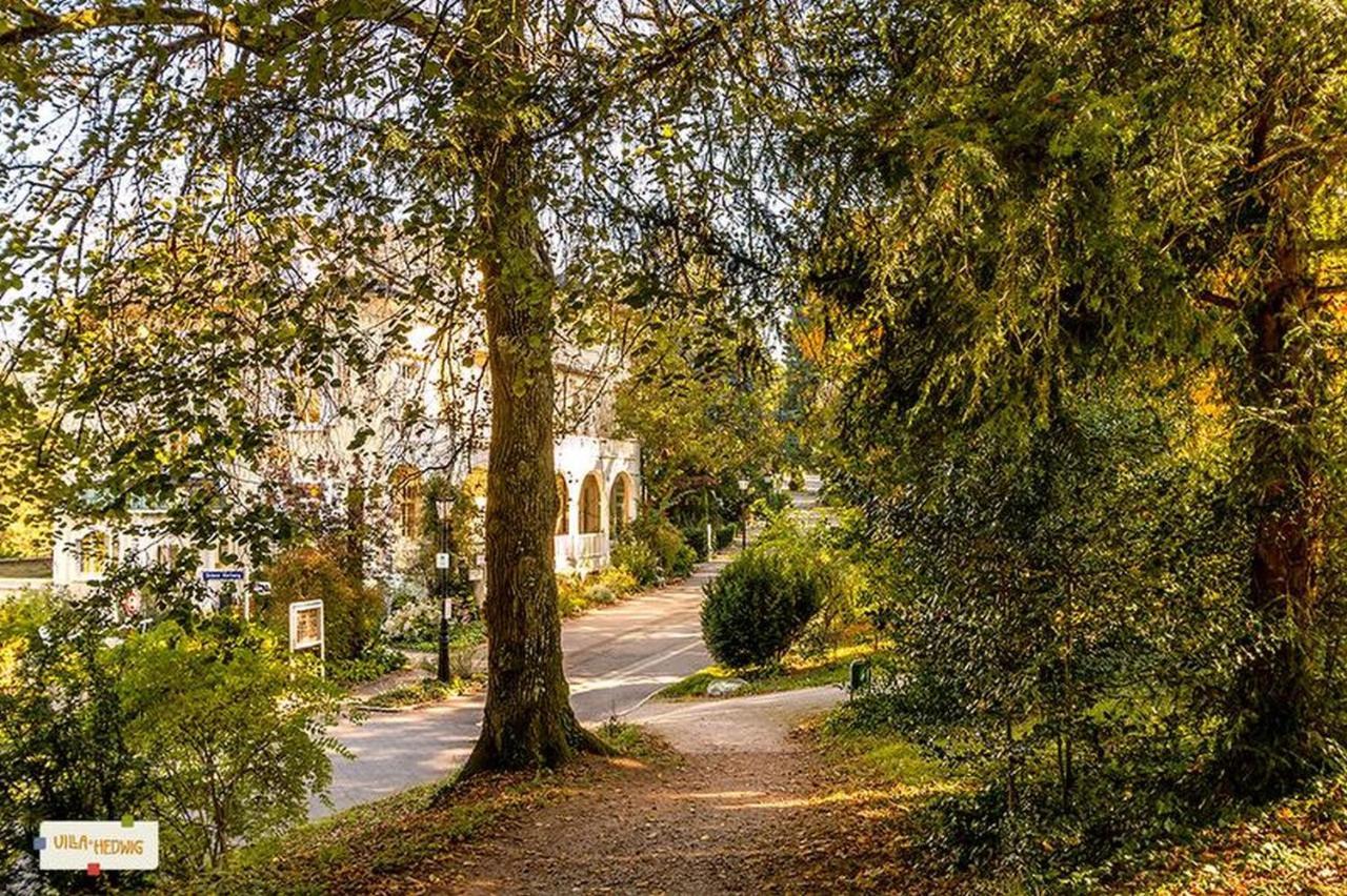 Villa Hedwig Badenweiler Eksteriør bilde